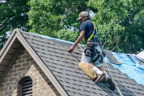 Roof Gutter Cleaning in Herculaneum, MO